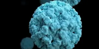 El norovirus sigue creciendo en España: los dos primeros síntomas a los que prestar atención
