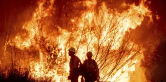 California, capital del fuego