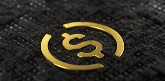 Circle: USDC Aumentó su Circulación un 78% en 2024, Ganando Terreno Frente a Tether