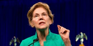 Elizabeth Warren Insta a Reguladores a Investigar las Memecoins de Trump