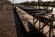 La Albufera de Valencia, tres meses después de la DANA: un humedal gravemente dañado