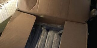 Detenido por 'rescatar' 55 kilos de cocaína del puerto de Gante