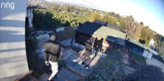Desmantelan cuatro violentas bandas de ladrones de la Costa del Sol