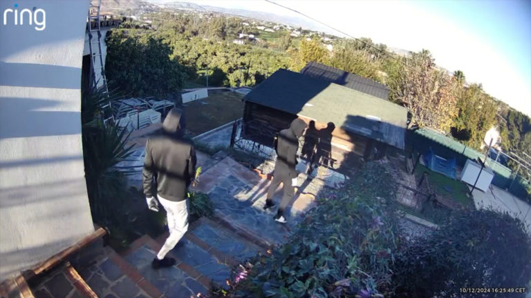 Desmantelan cuatro violentas bandas de ladrones de la Costa del Sol