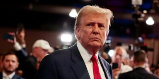 ¿Fue Solo Suerte? Cómo una Ballena Ganó $116 Millones Gracias a la Memecoin de Trump