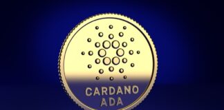 Grayscale Busca Aprobación de ETF de Cardano Tras Presentar Solicitudes Para Solana, XRP y Dogecoin
