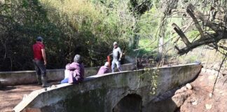 El puente del molino de Guadalpín vuelve a ver la luz gracias a los voluntarios