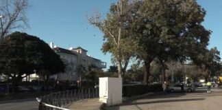 Dos fallecidos tras la colisión de dos turismos en una rotonda en Marbella
