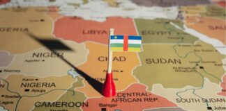 Presidente de la República Centroafricana Lanza una Memecoin—Alcanza $900 Millones Antes de Colapsar