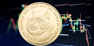 DOGE a la Basura: Dogecoin Pierde la Mayor Parte de Sus Ganancias Posteriores a las Elecciones