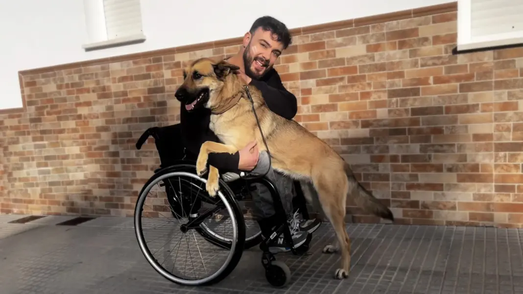 La historia de amor de Luippi y Summer: “No es un perro de asistencia, pero es experta en necesidades”