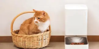 Xiaomi tira la casa por la ventana y rebaja a 70 euros el comedero 'smart' para mascotas