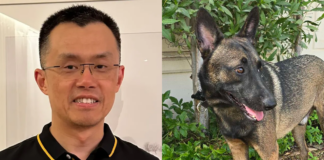 Fundador de Binance Revela Nombre de su Perro y los Traders de Memecoins Enloquecen