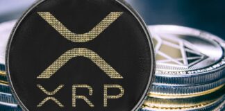 Comienza la Cuenta Regresiva Para el ETF de XRP de Grayscale
