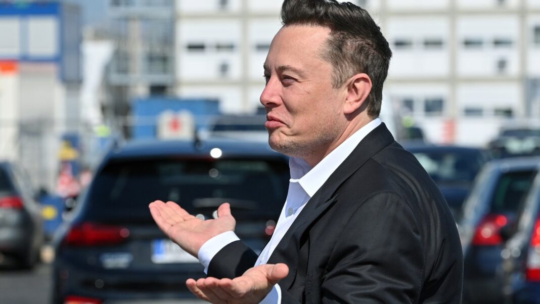 Memecoins de 'Harry Bōlz' Colapsan Tras Cambio de Nombre en la Cuenta de X de Elon Musk