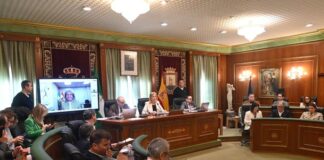 La gestión del suelo y la vivienda avivan la polémica en el pleno de Marbella