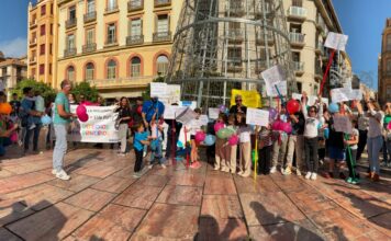 dimisión de la consejera de Educación