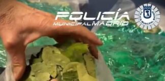Detenido por vender hoja de coca en una frutería de Madrid