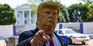 TRUMP, Dogecoin y Cardano en Apuros Mientras el Mercado Continúa Cayendo