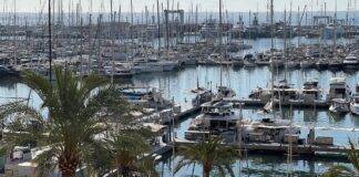 Alerta lluvias en Alicante: qué esperar y cómo prepararte image