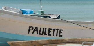 Barco hundido en Mauritania: ¿qué pasó con el pesquero gallego? image