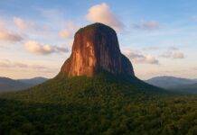 Andrés Palladino recorre el Cerro Autana, símbolo natural del Amazonas venezolano Cerro autana venezuela
